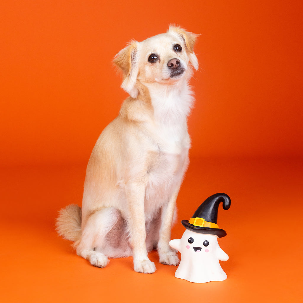 PETSHOP ONE WICKED GHOST LATEX DOG TOY