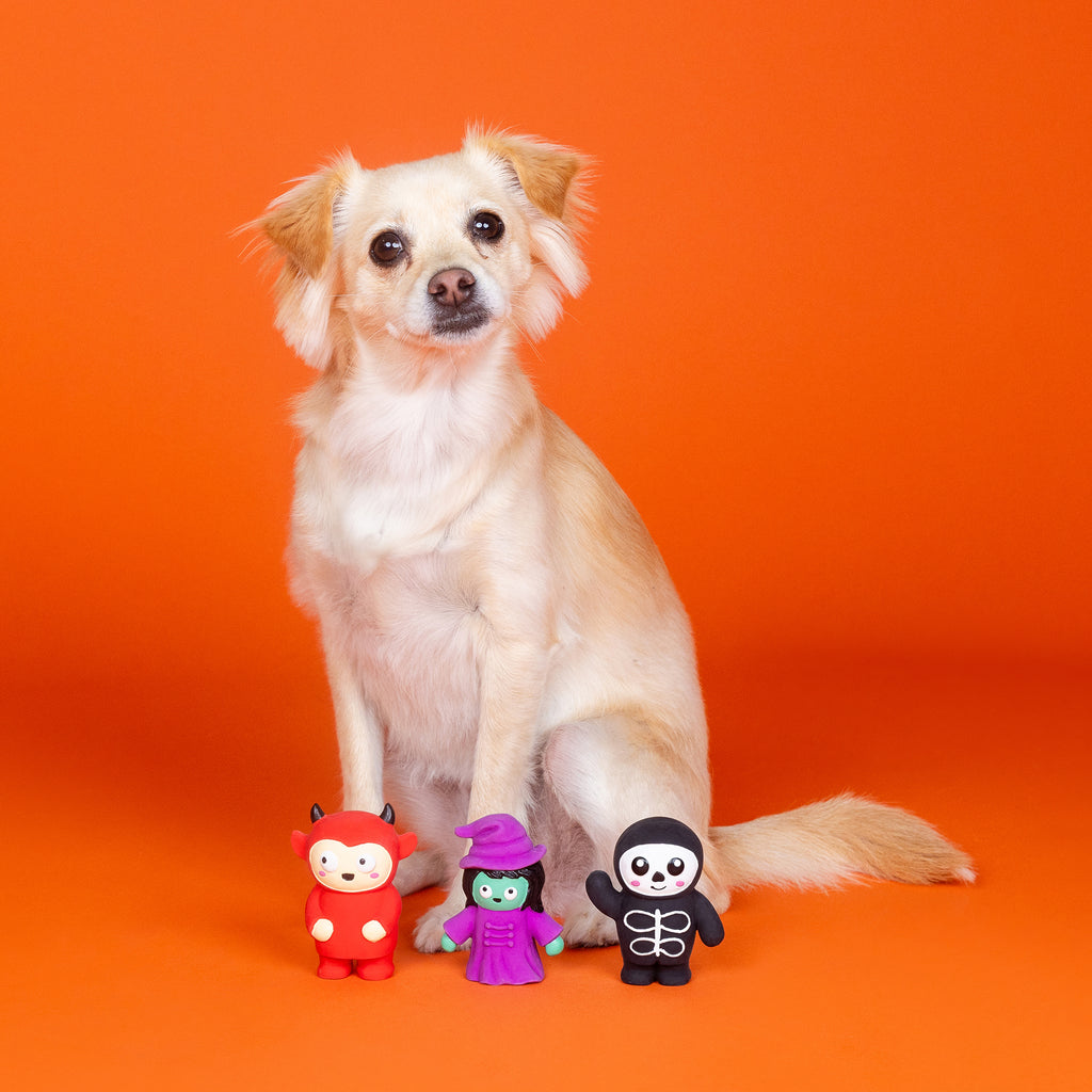 PETSHOP FRIGHT THIS WAY MINI LATEX TOYS