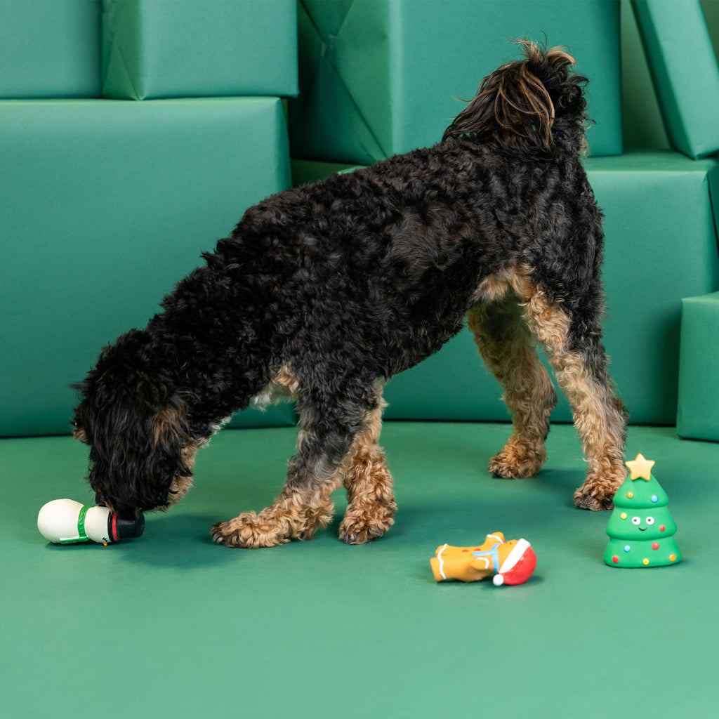 PETSHOP FESTIVE FRIENDS MINI LATEX TOY SET