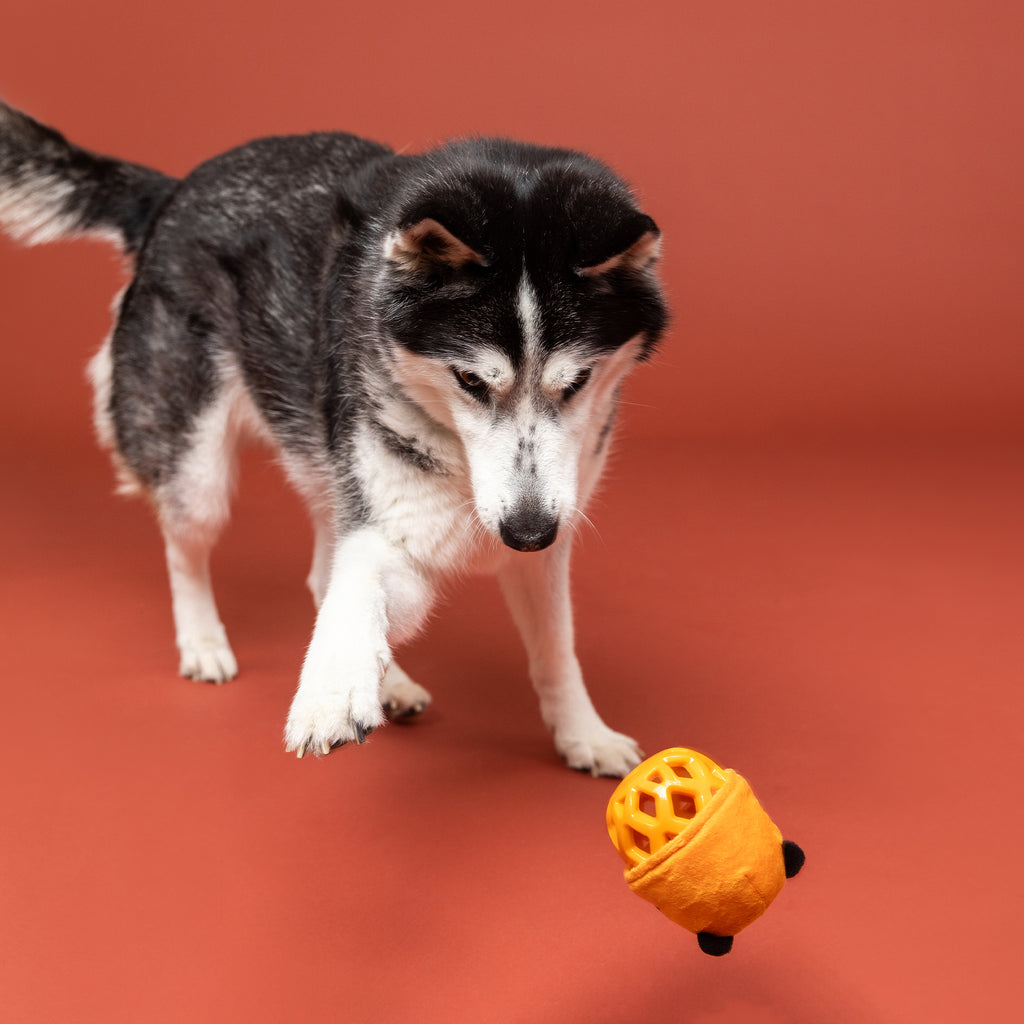 PETSHOP GO GET EM TIGER RUBBER/PLUSH DOG TOY