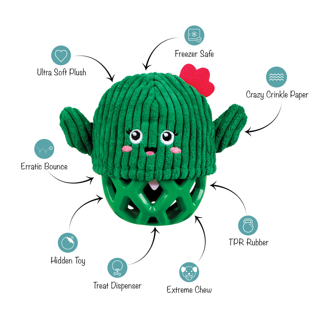 PETSHOP PRICKLY BUT SWEET RUBBER/PLUSH DOG TOY