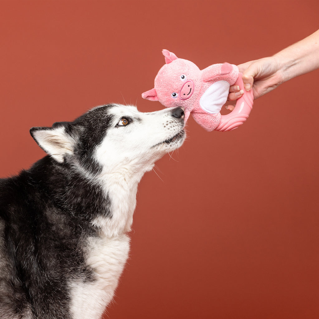 PETSHOP GET PIGGY WITH IT RUBBER/PLUSH DOG TOY