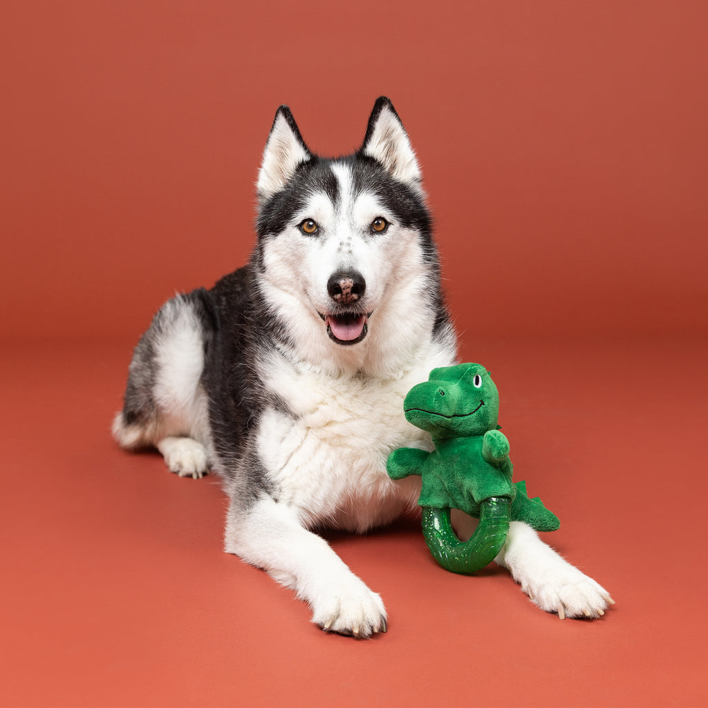 PETSHOP UNLEASH THE DINO RUBBER/PLUSH DOG TOY