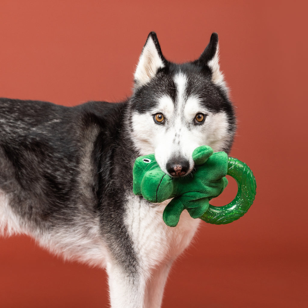 PETSHOP UNLEASH THE DINO RUBBER/PLUSH DOG TOY