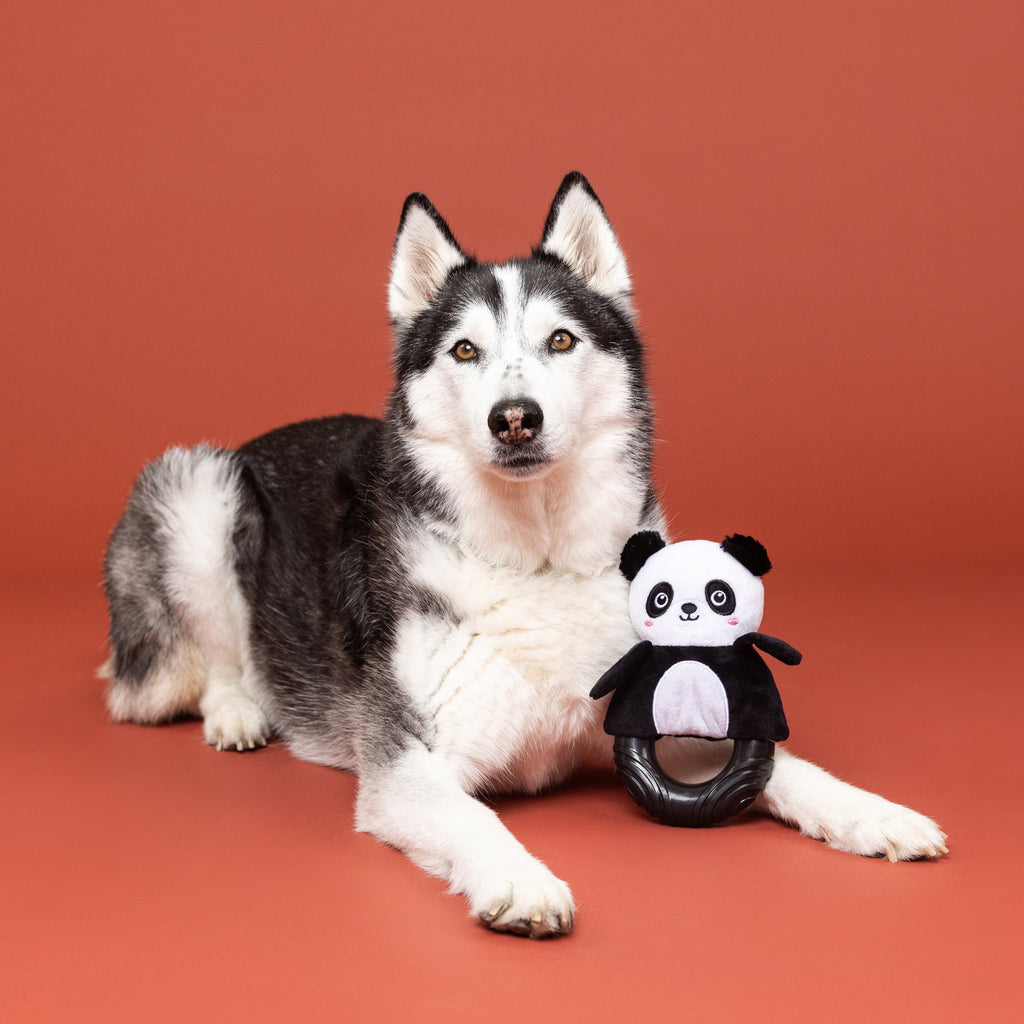 PETSHOP STU-PANDA-OUS! RUBBER/ PLUSH DOG TOY