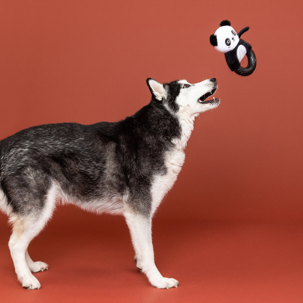 PETSHOP STU-PANDA-OUS! RUBBER/ PLUSH DOG TOY
