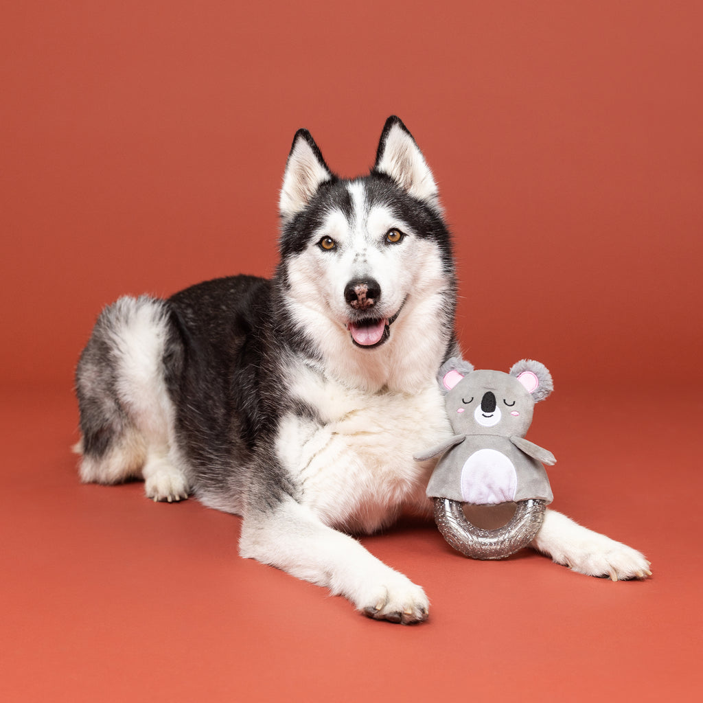 PETSHOP KOAL-ITY VIBES ONLY! RUBBER/PLUSH DOG TOY