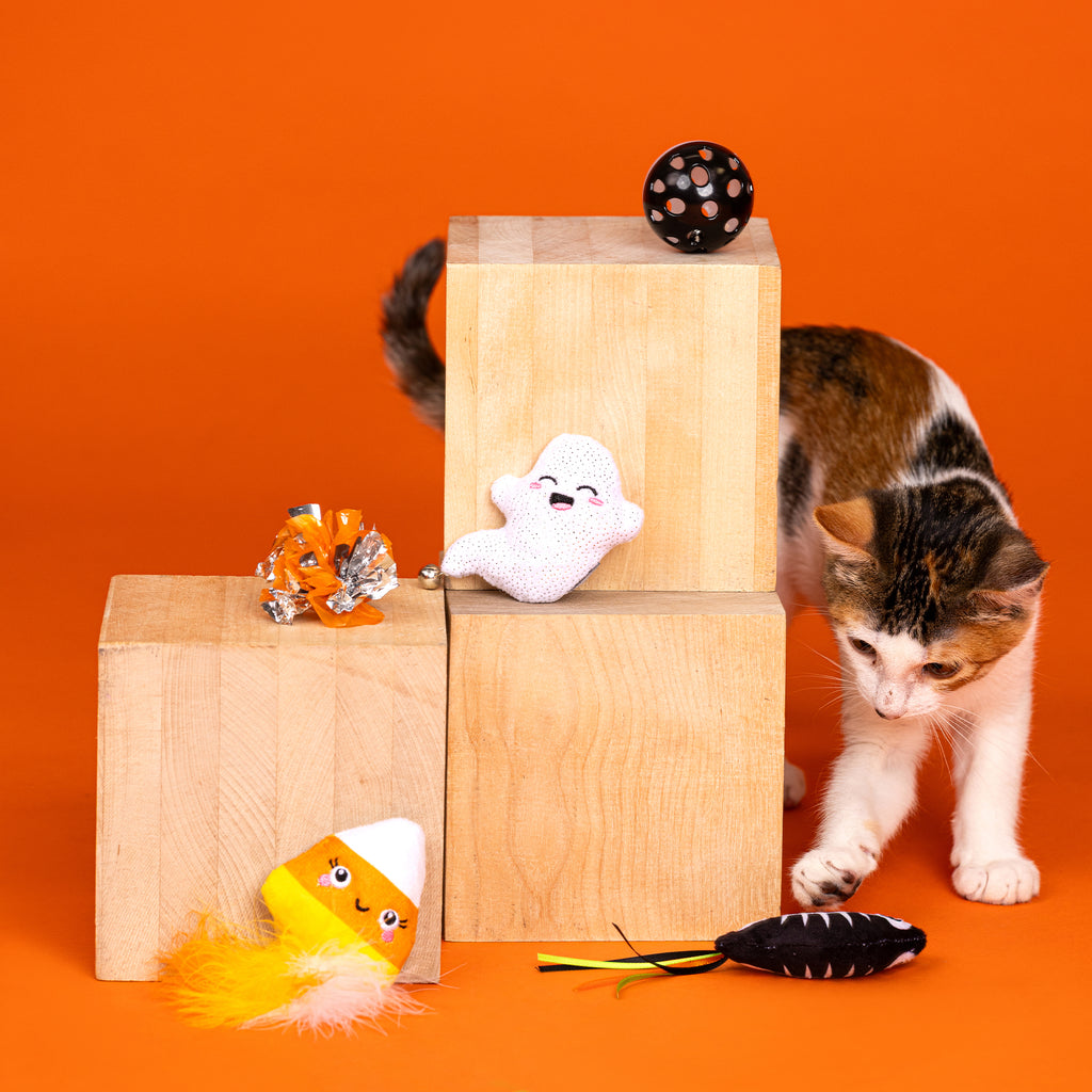 PETSHOP SWEET TREATS, SPOOKY FEATS 6 PC MULTIPACK CAT TOY