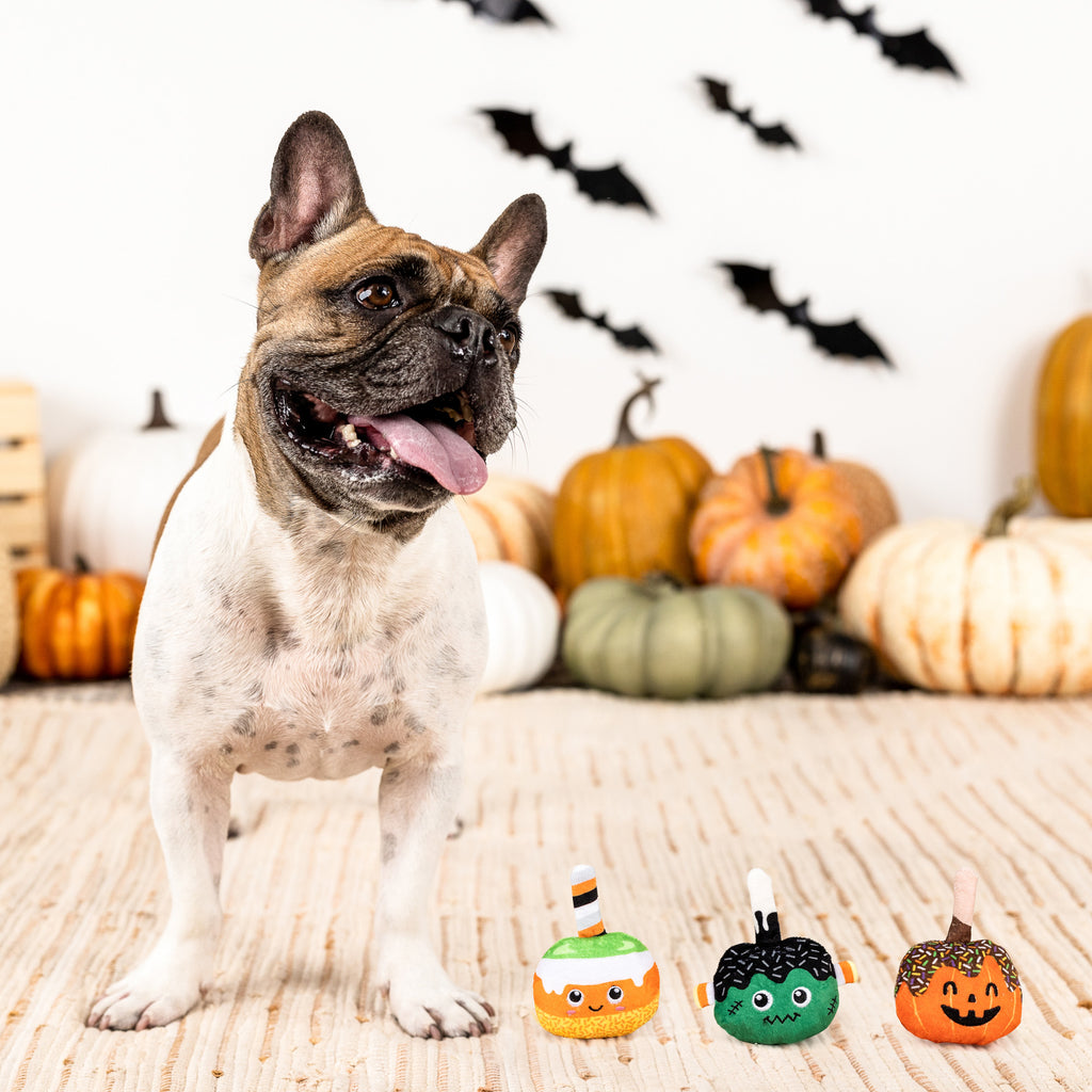 PETSHOP NO TRICKS, JUST TREATS MINI TOYS