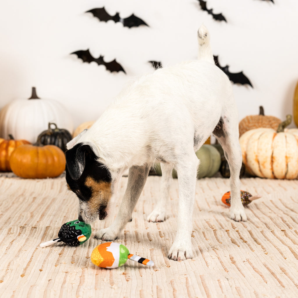 PETSHOP NO TRICKS, JUST TREATS MINI TOYS