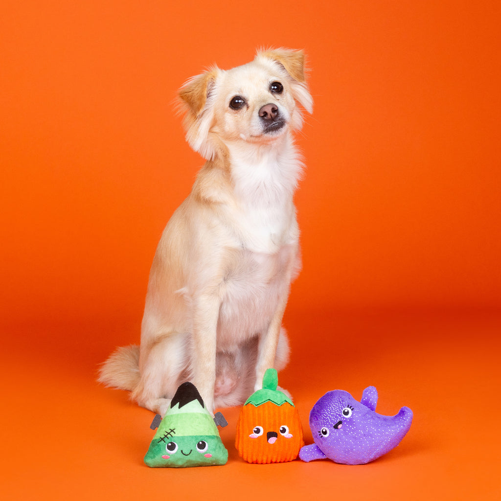 PETSHOP SPOOKY SQUAD MINI TOYS