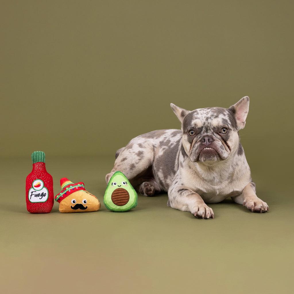 PETSHOP TASTE THE HEAT MINI TOYS