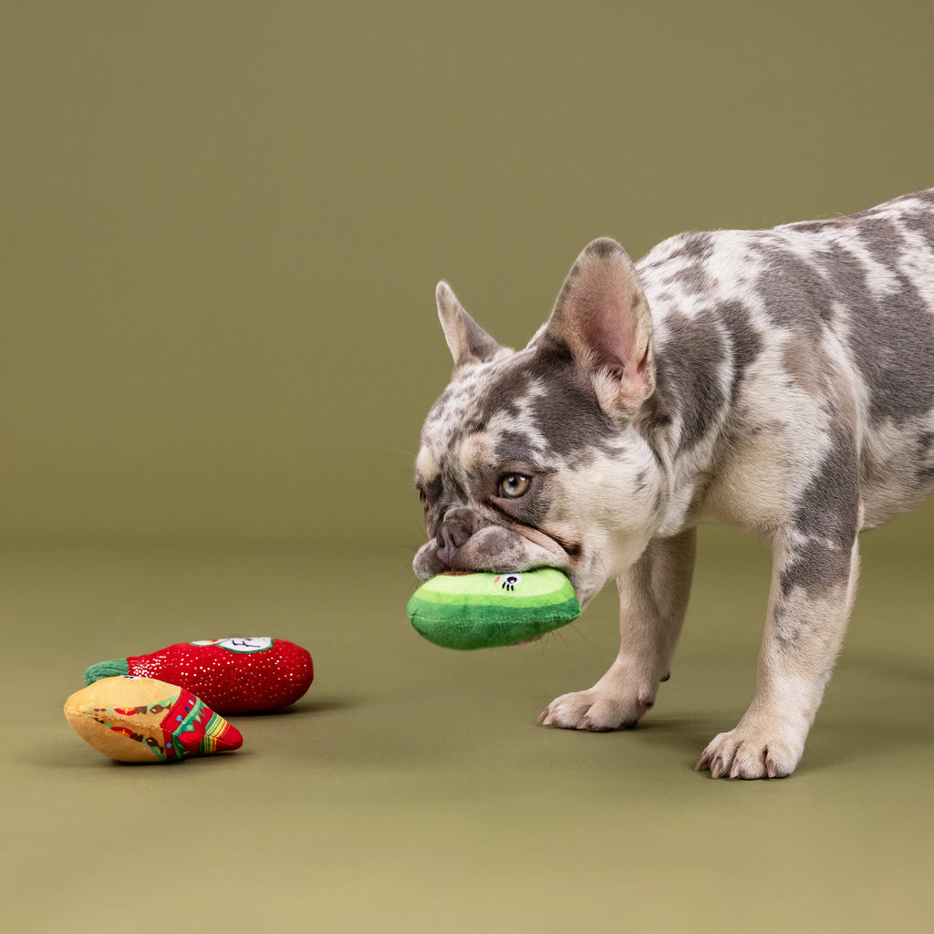 PETSHOP TASTE THE HEAT MINI TOYS