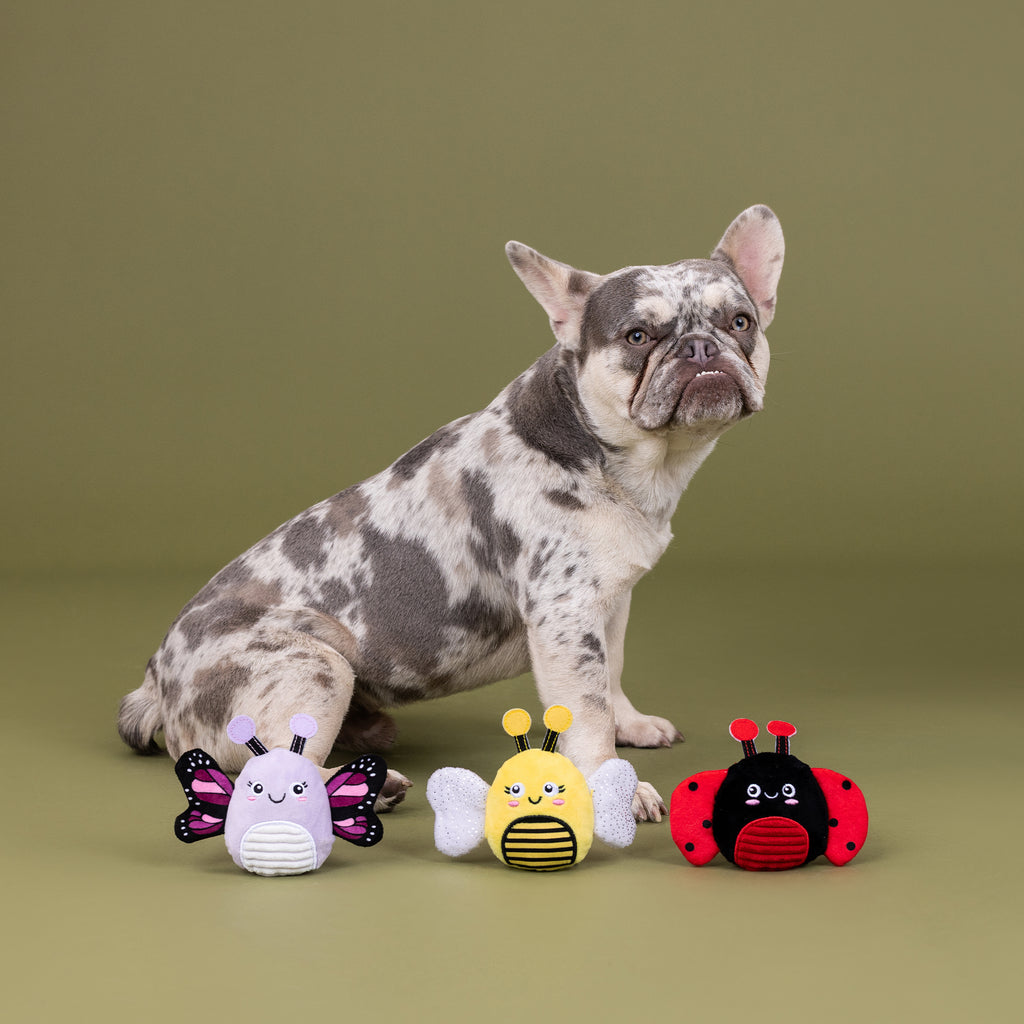 PETSHOP WE'RE SUPER FLY MINI TOYS