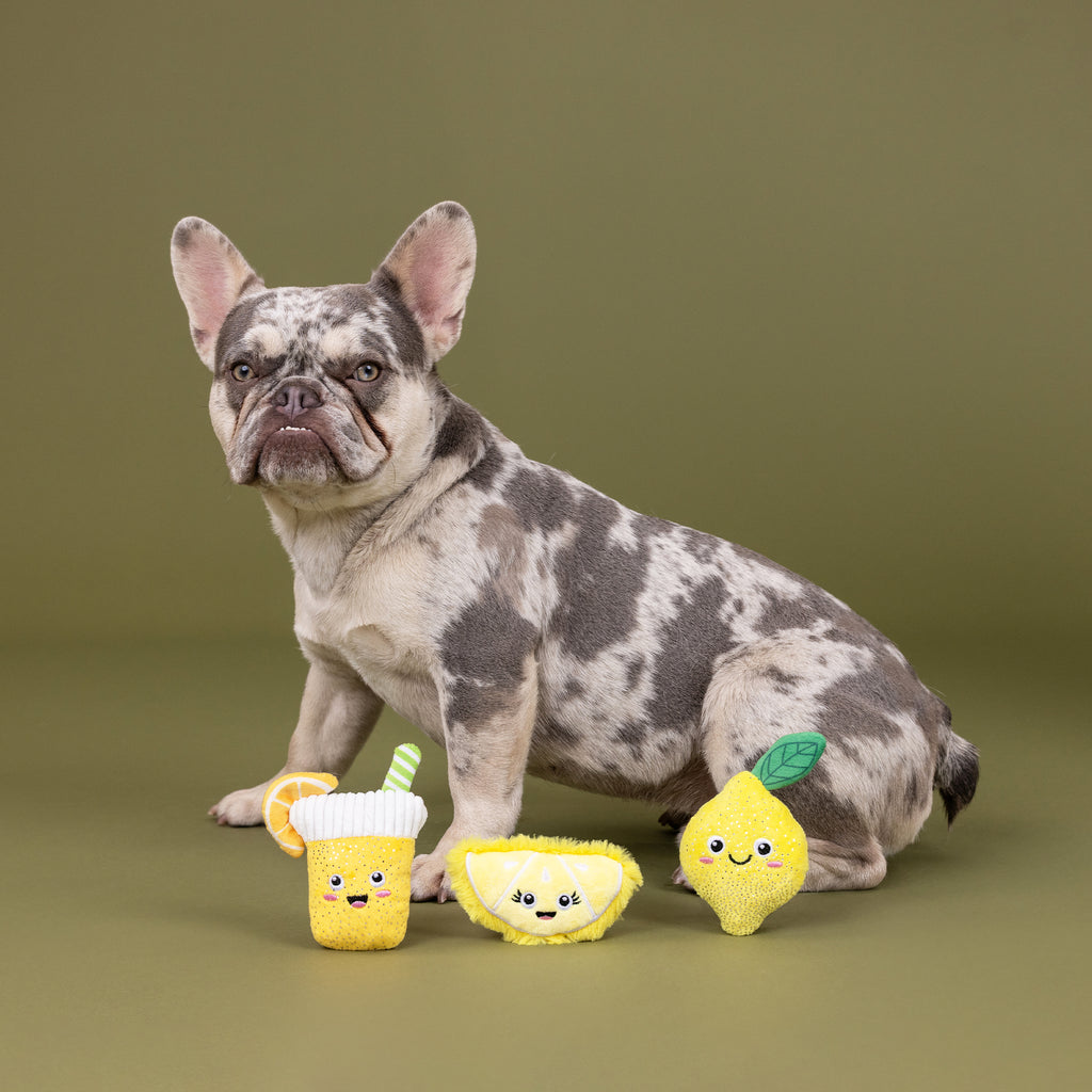 PETSHOP SOUR YOU DOING? MINI TOYS