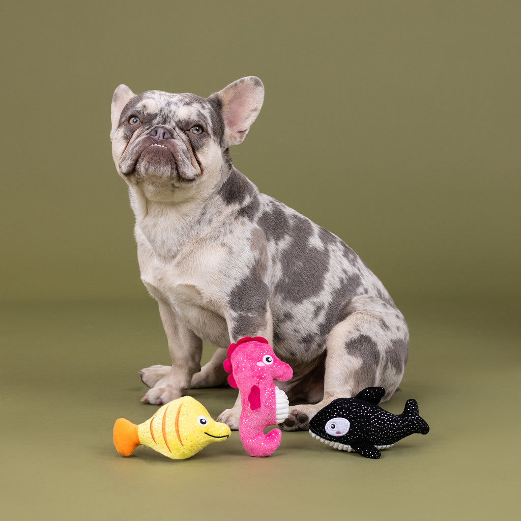 PETSHOP HIGH FIN BUDS MINI TOYS