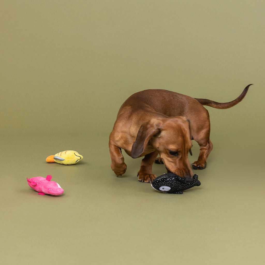 PETSHOP HIGH FIN BUDS MINI TOYS