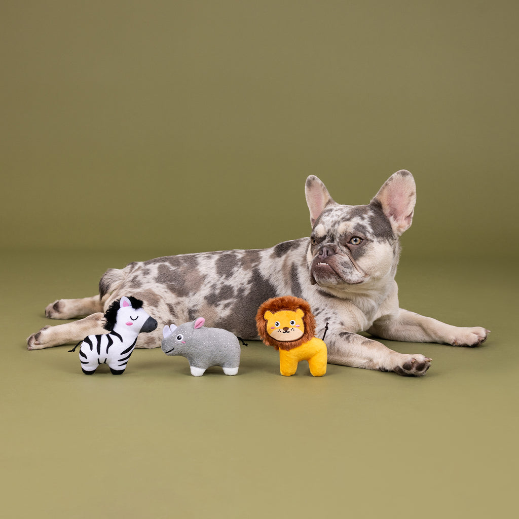 PETSHOP MEET ME AT THE ZOO MINI TOYS