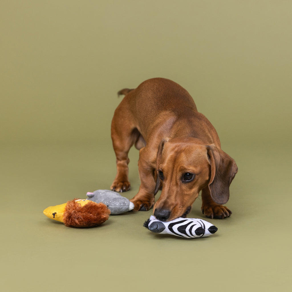 PETSHOP MEET ME AT THE ZOO MINI TOYS