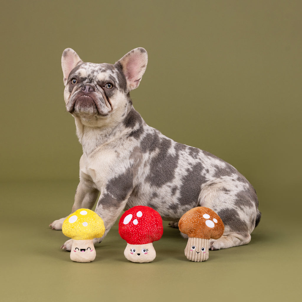 PETSHOP SHROOMING MINI TOYS