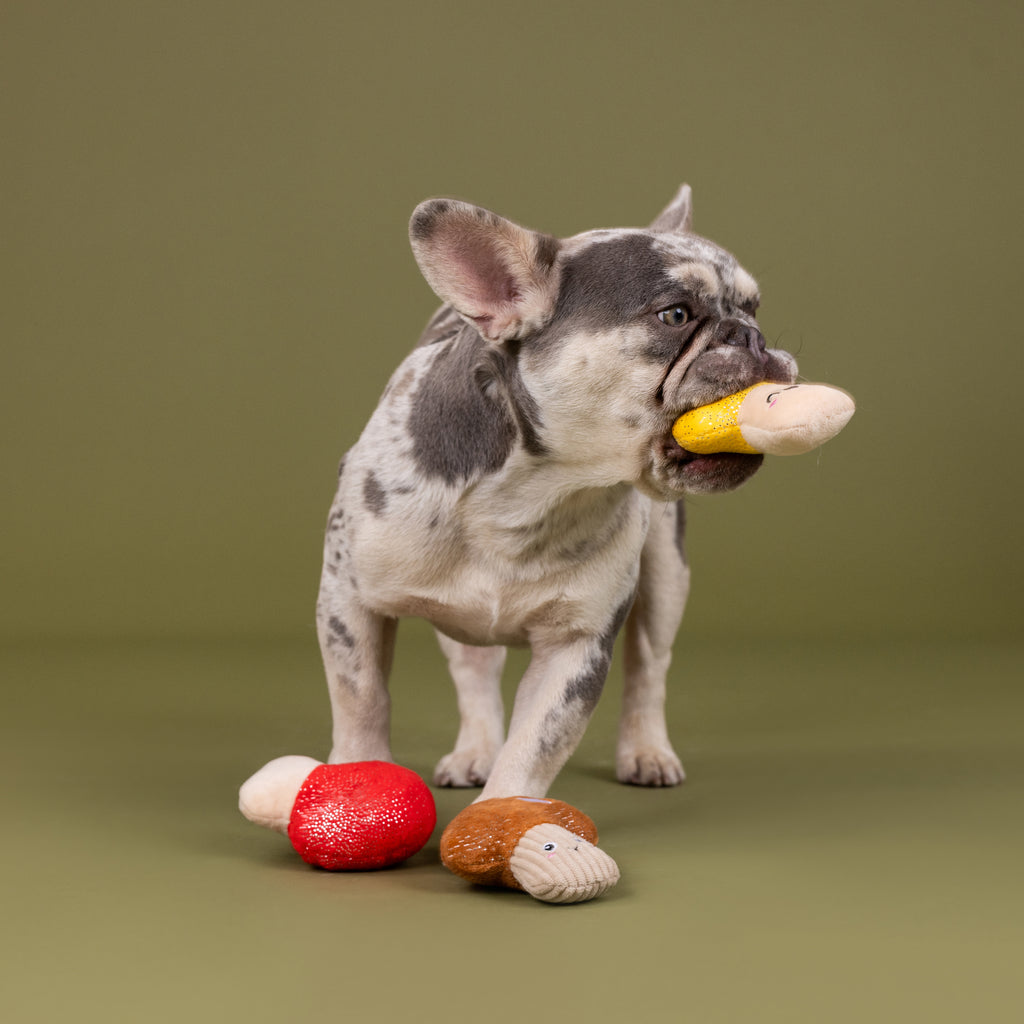 PETSHOP SHROOMING MINI TOYS