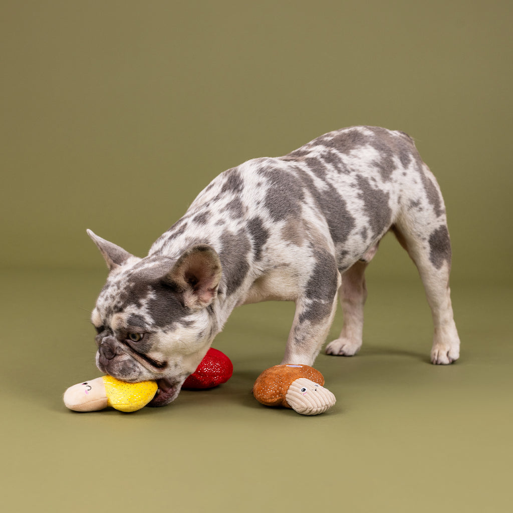 PETSHOP SHROOMING MINI TOYS