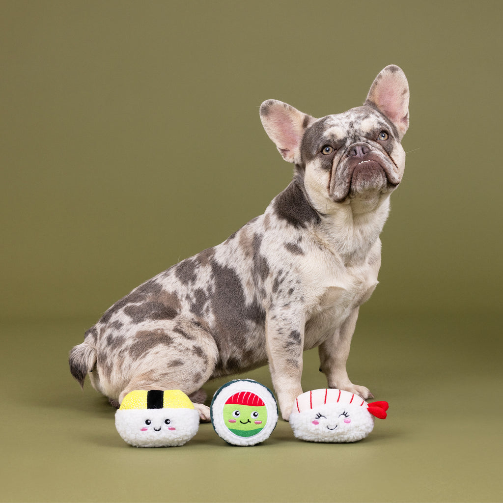 PETSHOP RICE TO MEET YOU MINI TOYS