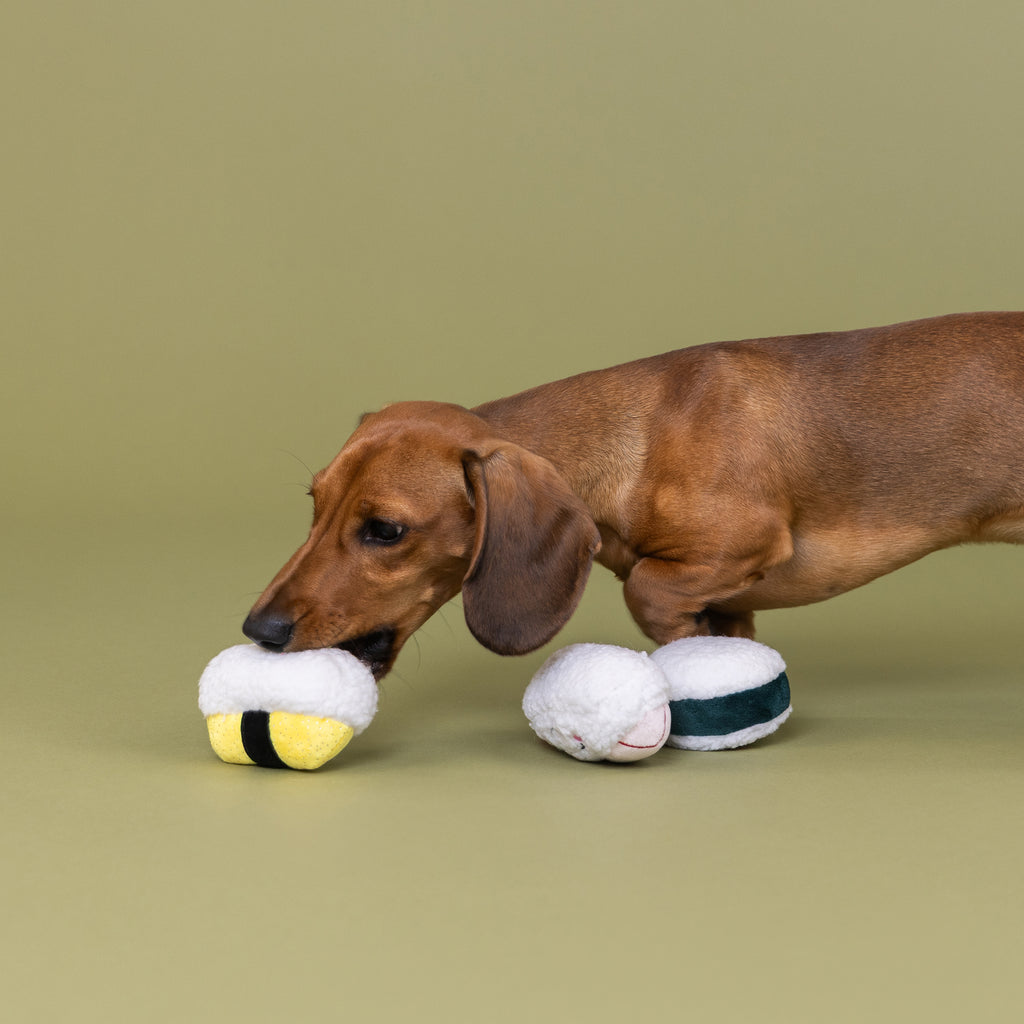 PETSHOP RICE TO MEET YOU MINI TOYS