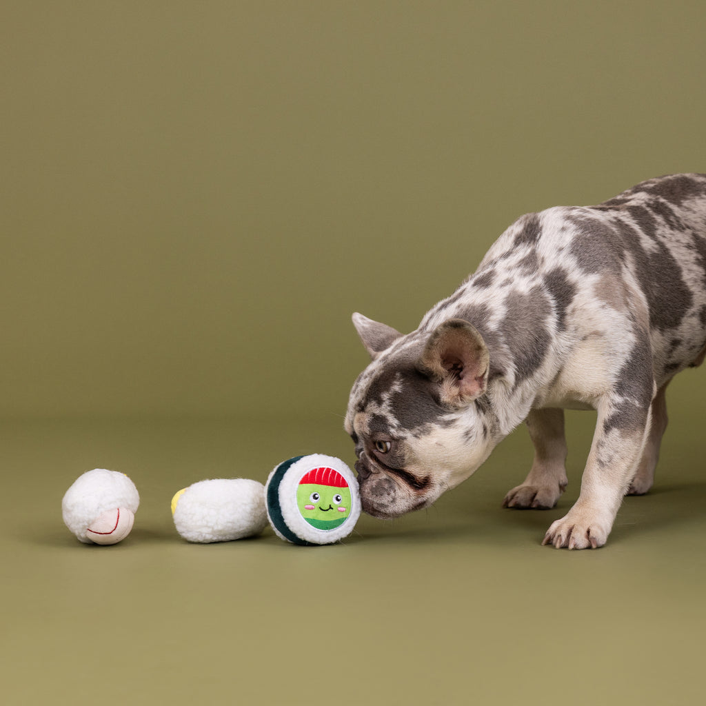 PETSHOP RICE TO MEET YOU MINI TOYS