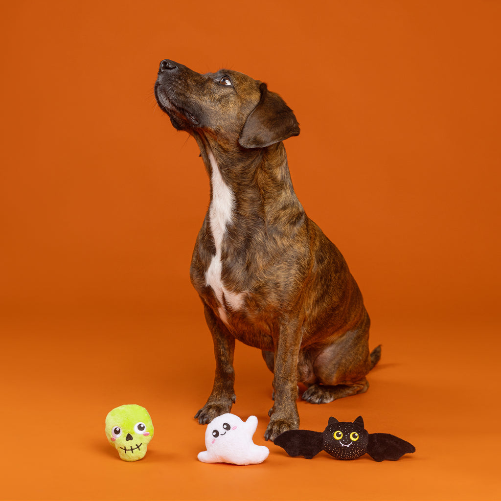 PETSHOP BOO YAH! MINI DOG TOYS