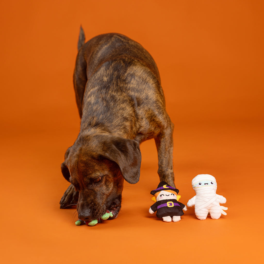 PETSHOP GHOULS WANNA HAVE FUN MINI DOG TOYS