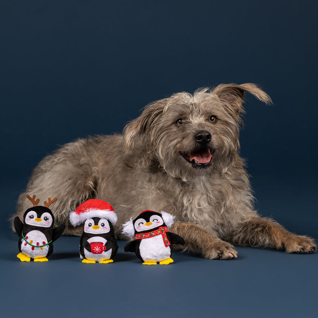 PETSHOP WADDLE SQUAD MINI TOYS