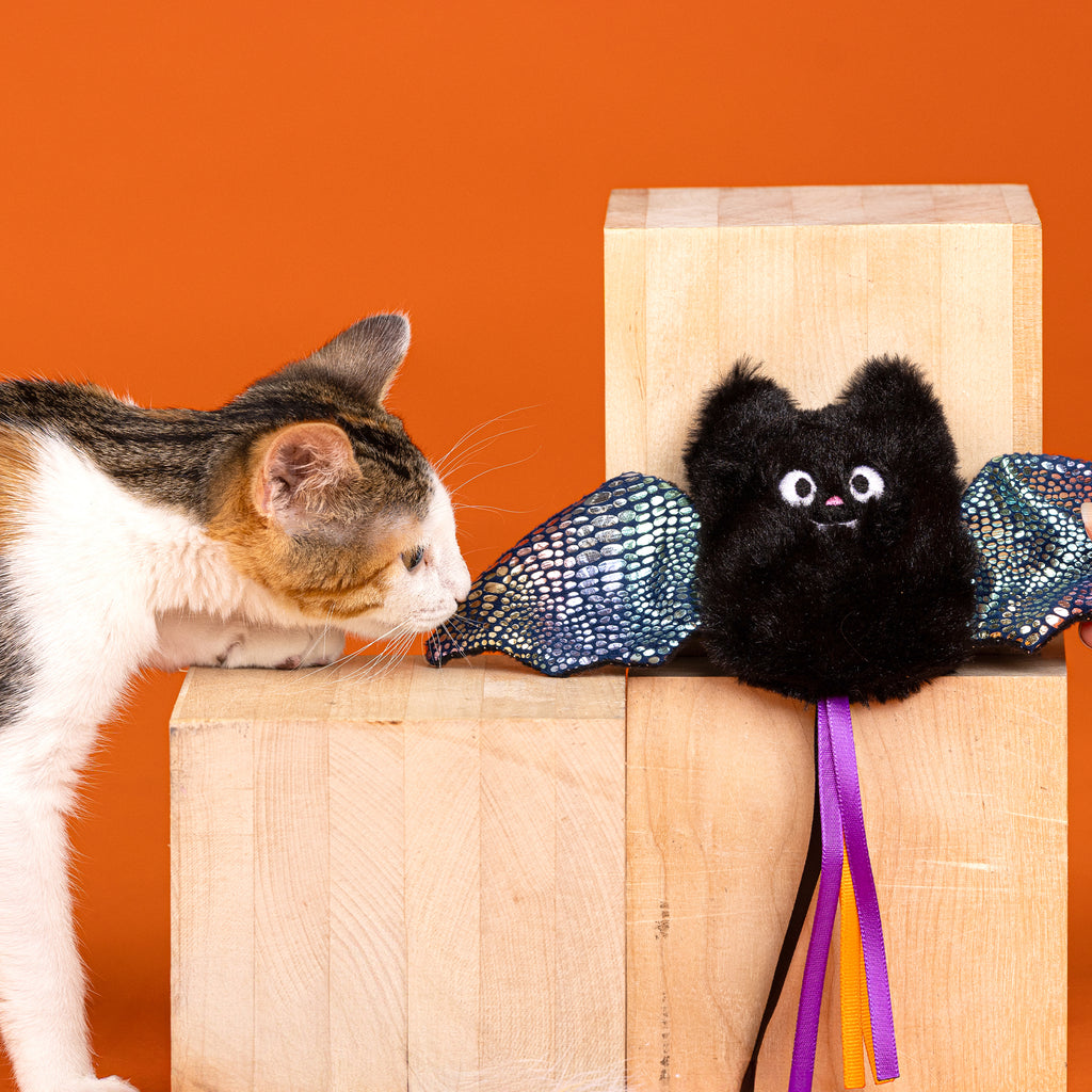 PETSHOP LET'S WING IT KICKER CAT TOY