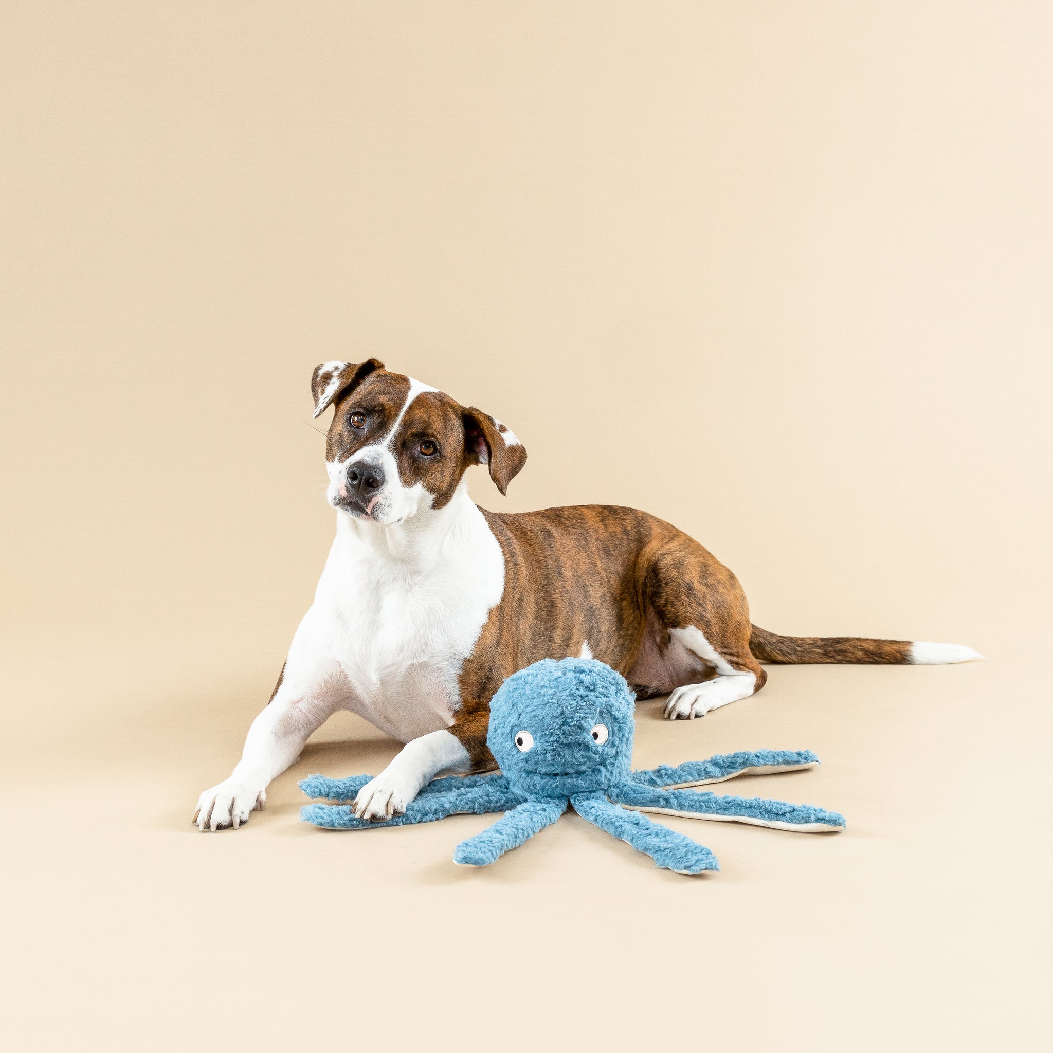 PETSHOP LONG TIME NO SEA DOG TOY – PetShop by Fringe Studio
