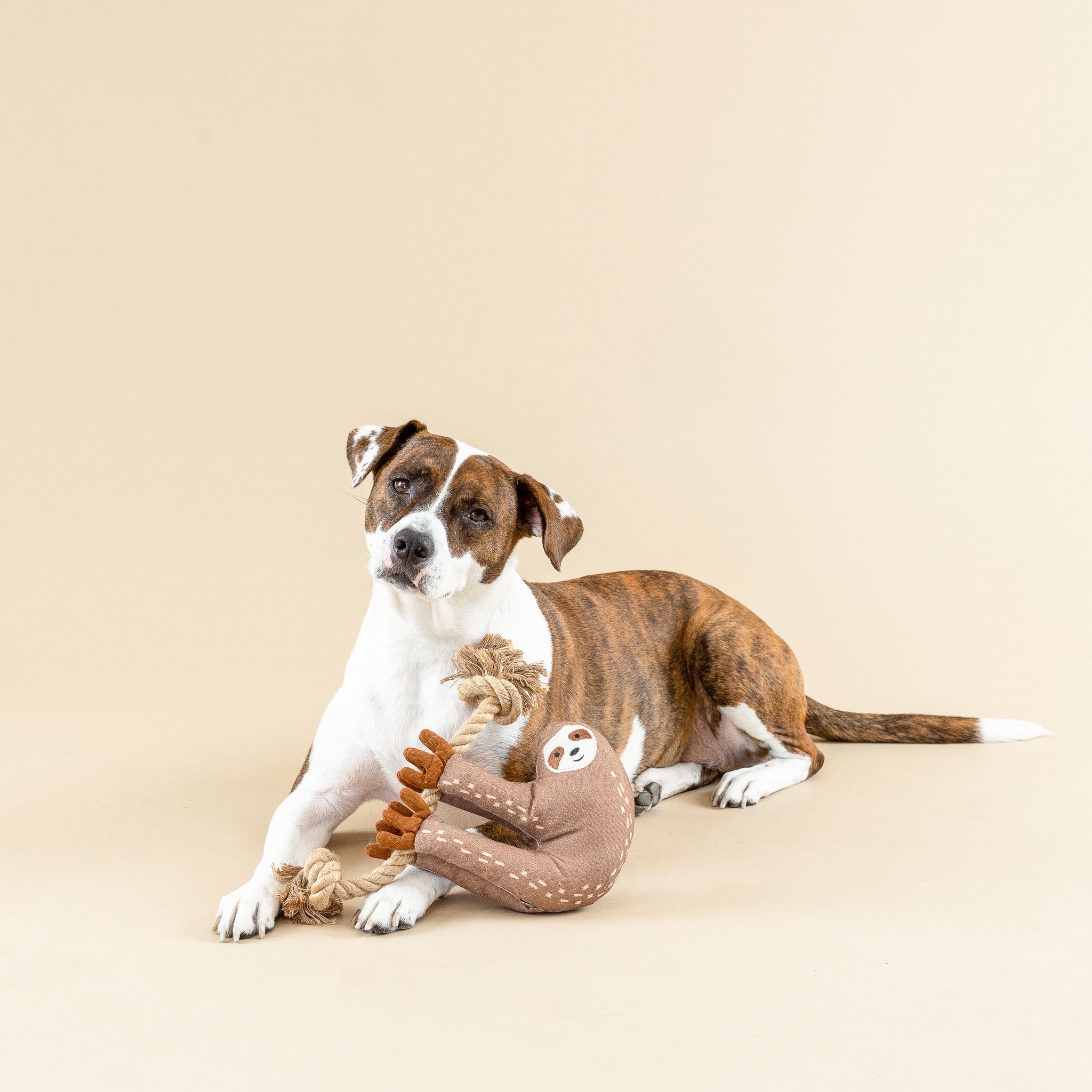 Doggie toys for sale discount