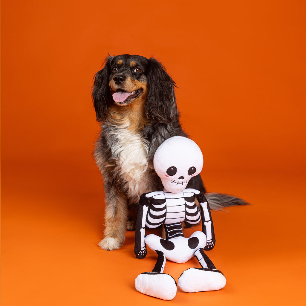 PETSHOP BONE TO BE WILD LARGE DOG TOY