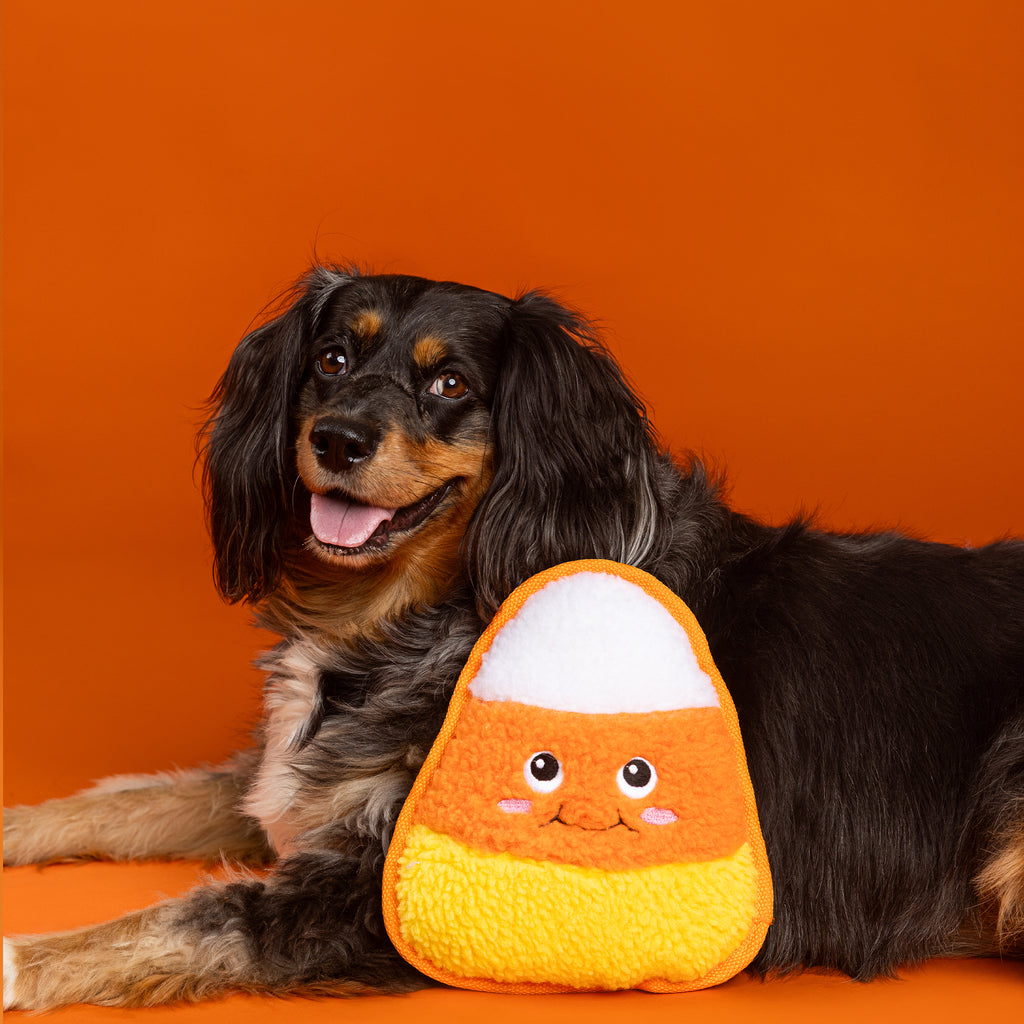 PETSHOP CANDY YOU DIG IT? DURABLE DOG TOY