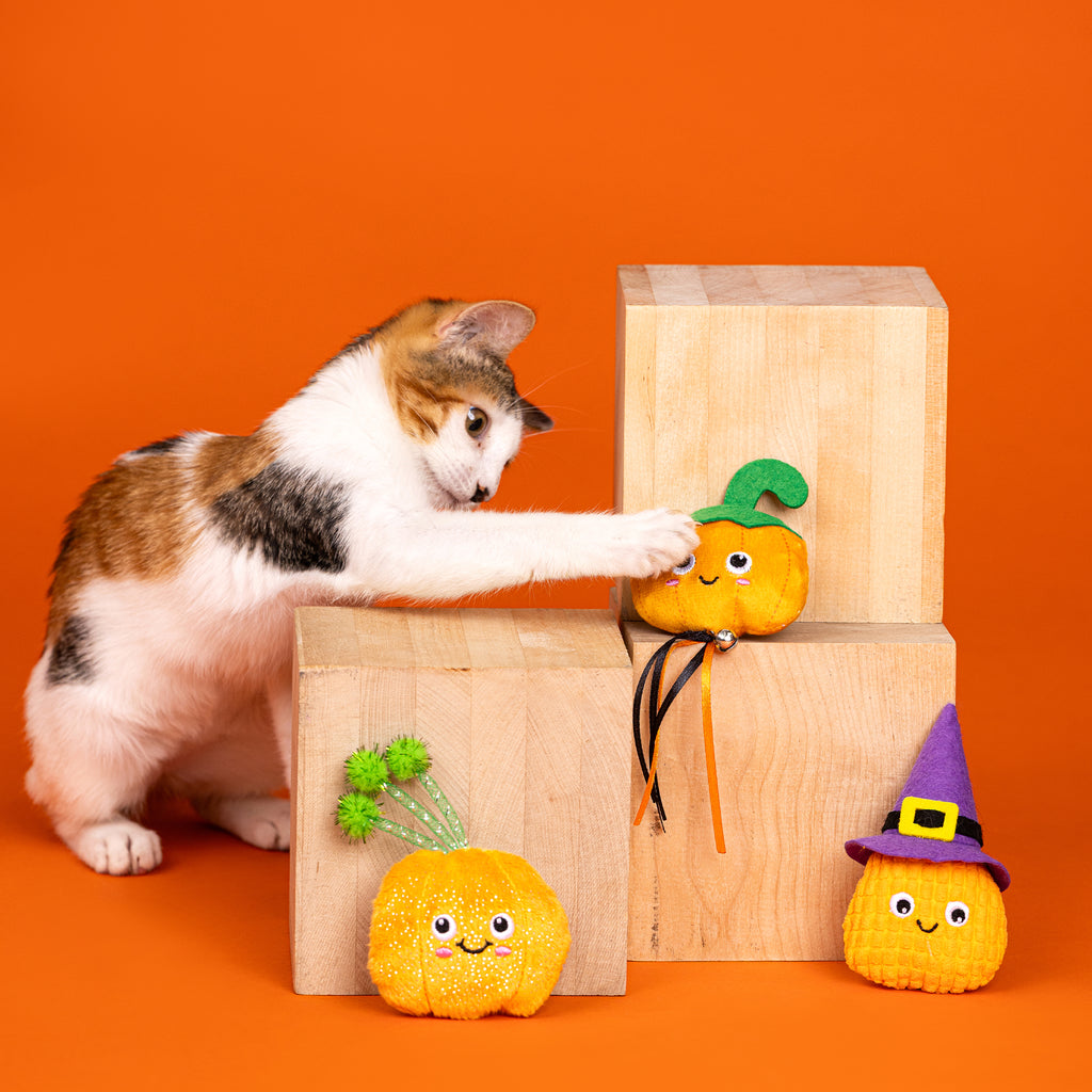 PETSHOP WITCH OF THE PATCH MINI CAT TOYS