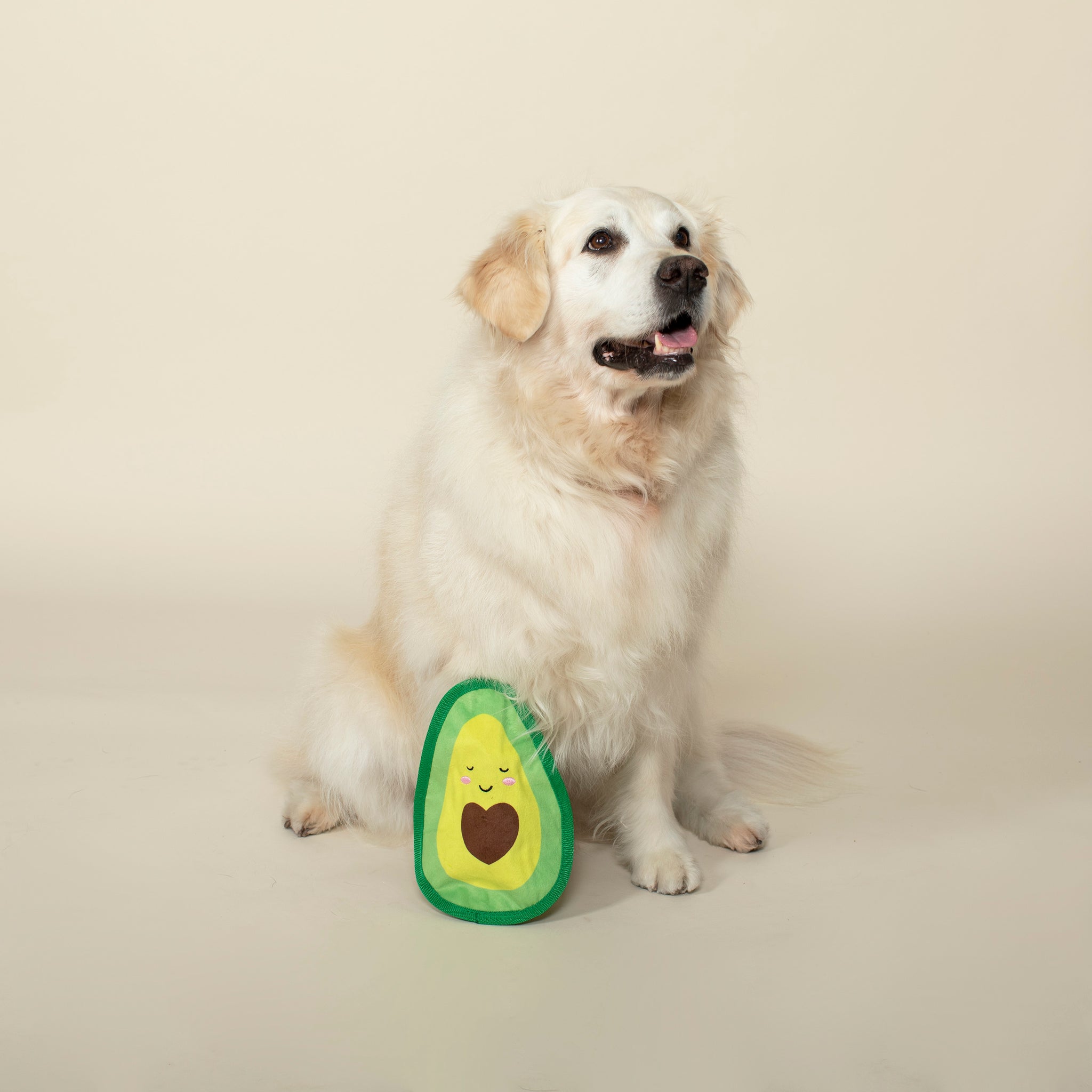 Avocado dog toy deals