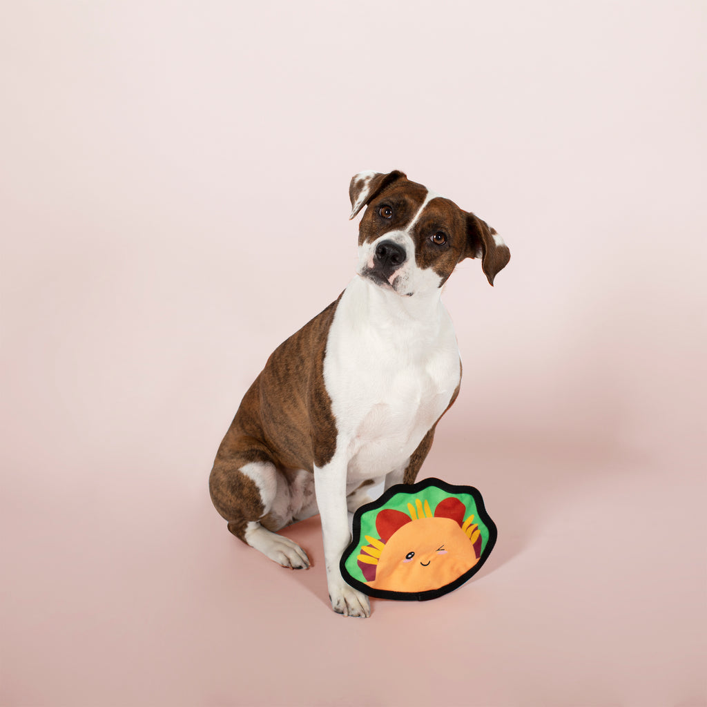 PETSHOP TACO DURABLE DOG TOY